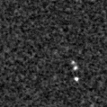 2019ymq_image