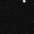 2019ymw_image