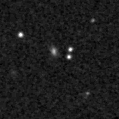 2019ync_image