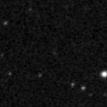2019yni_image