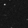 2019ynj_image