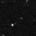 2019ynv_image