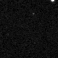 2019yny_image