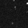 2019yoc_image