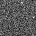 2019yod_image