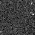 2019yol_image