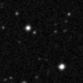 2019yon_image