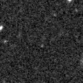 2019yox_image
