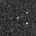 2019yoy_image