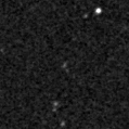 2019ypc_image