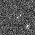 2019ypi_image