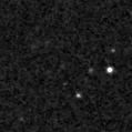 2019ypw_image