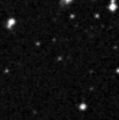 2019ypx_image