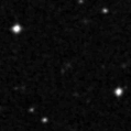 2019ypy_image
