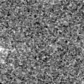 2019ysd_image