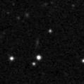 2019ysf_image
