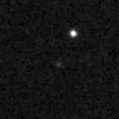 2019ysg_image