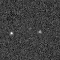 2019ysn_image