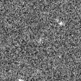 2019ysv_image