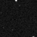 2019ytf_image