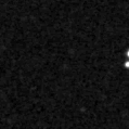 2019ytm_image