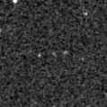 2019yud_image