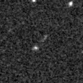 2019yuq_image