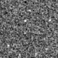 2019yvl_image