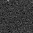 2019yvp_image