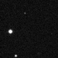 2019ywi_image