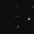 2019yws_image