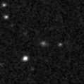 2019ywt_image