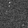 2019ywy_image