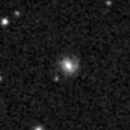 2019yxb_image