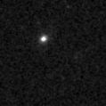 2019yxc_image