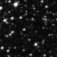 2019yxt_image