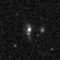 2019yzx_image
