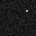 2019zam_image
