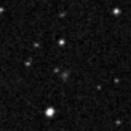 2019zdn_image