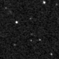 2019zdo_image