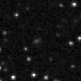 2019zet_image