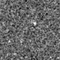 2019zev_image