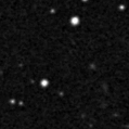 2019zew_image