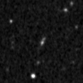 2019zgk_image