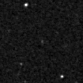 2019zgl_image