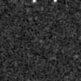 2019zgx_image