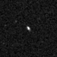 2019zhx_image