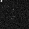 2019zjr_image