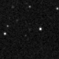 2019zko_image