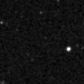 2019zms_image